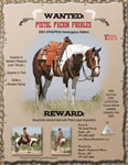 T_03-Pete.jpg